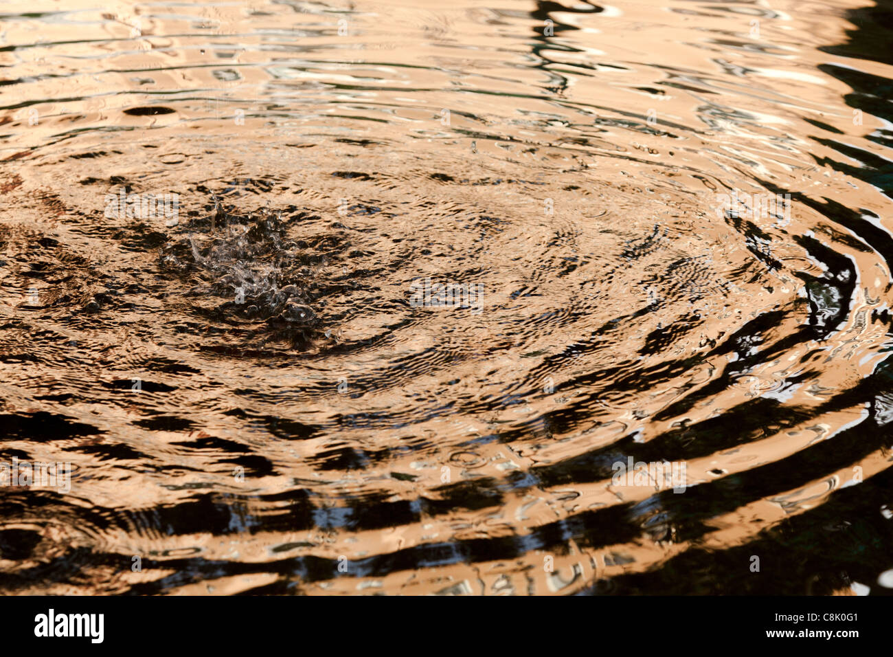 La riflessione di ripple nella fontana di acqua Foto Stock