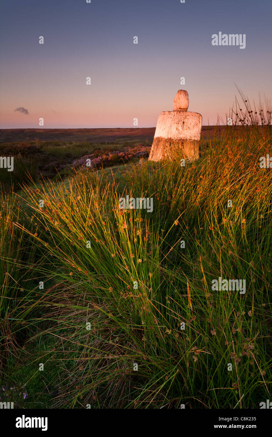 Fat Betty, pietra permanente all'alba North York Moors Foto Stock