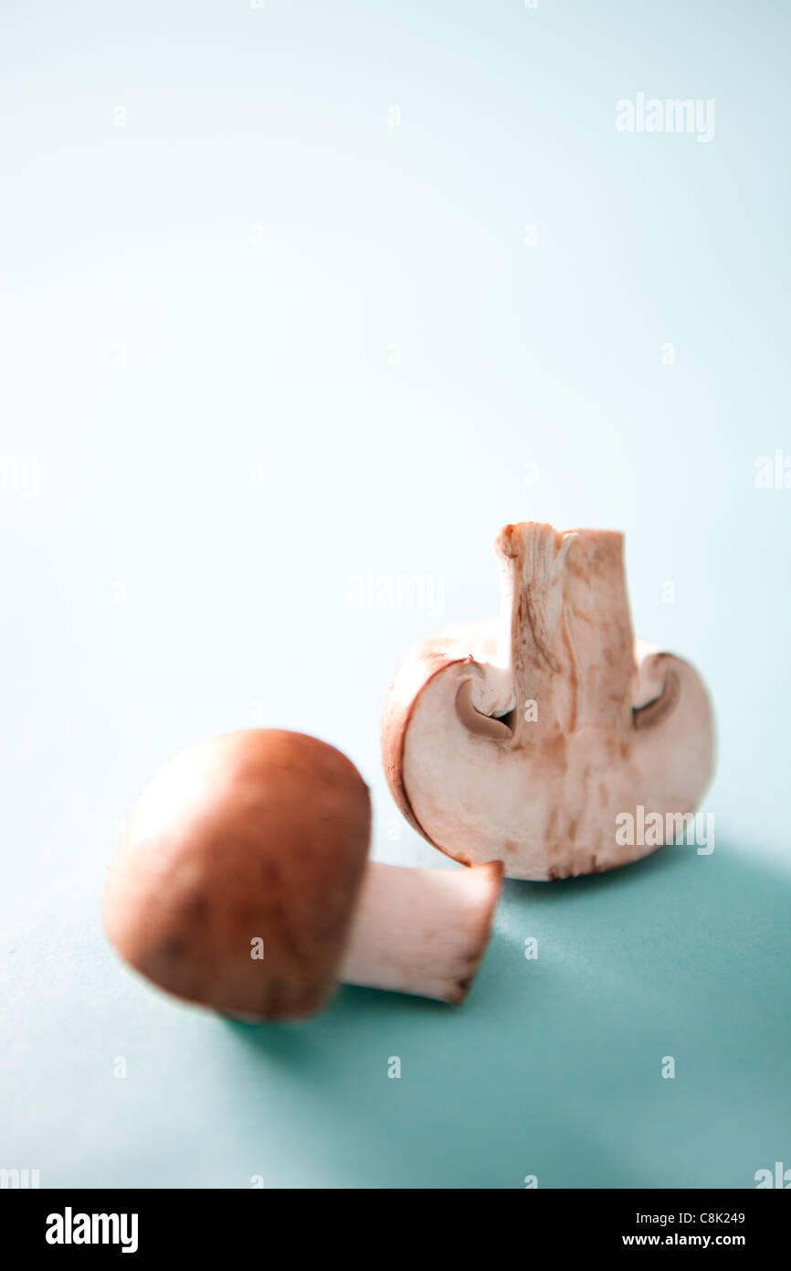 Singola, funghi tagliati a metà su fondo azzurro Foto Stock
