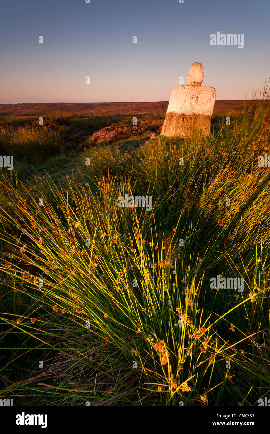 Fat Betty, pietra permanente all'alba North York Moors Foto Stock