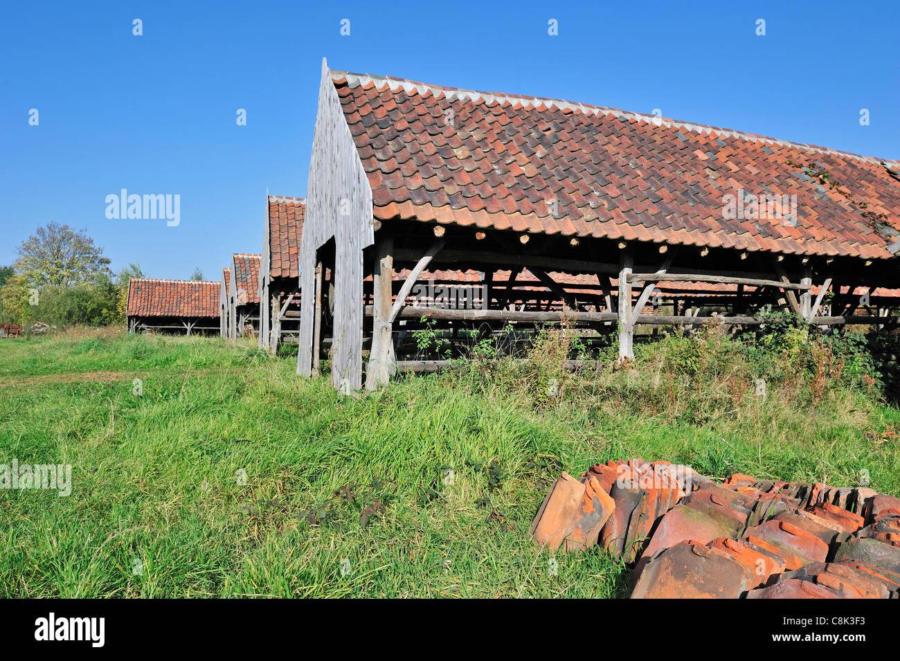 Cantieri di essiccazione e tegole del tetto in laterizi, braccio, Belgio Foto Stock