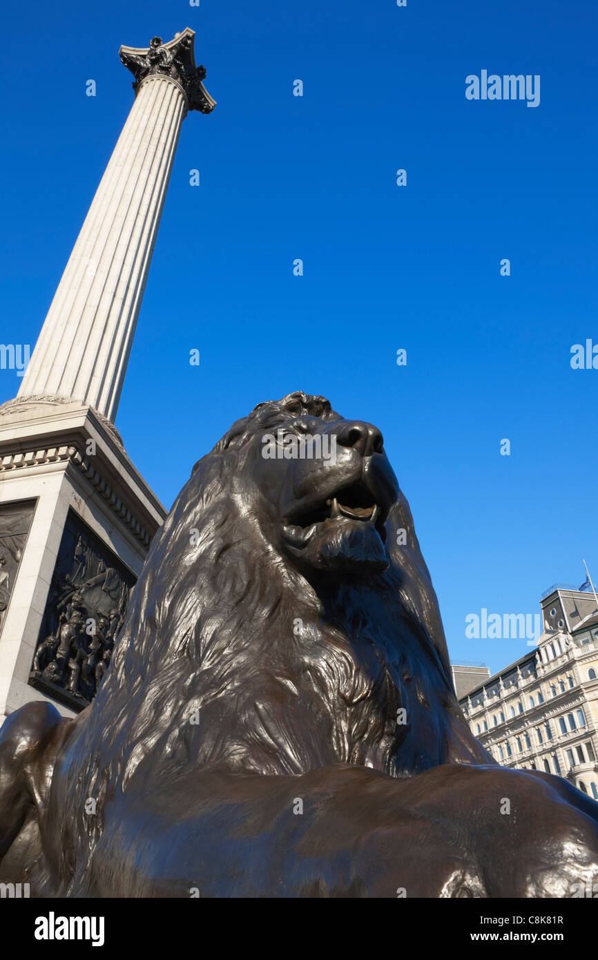 Lion statua in corrispondenza della base della colonna di Nelson,; Trafalgar square;Londra; Inghilterra Foto Stock