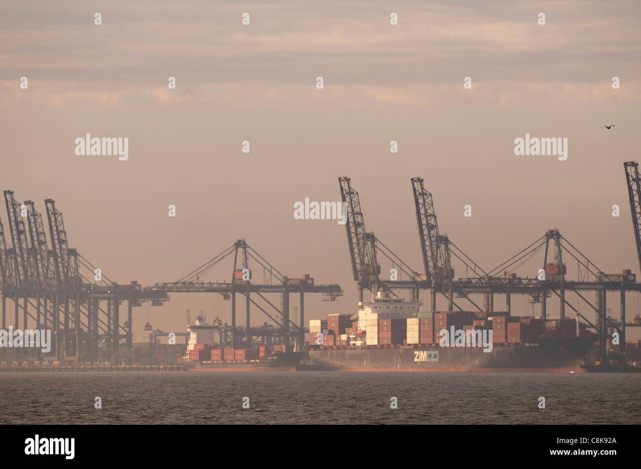 Felixstowe Docks Foto Stock