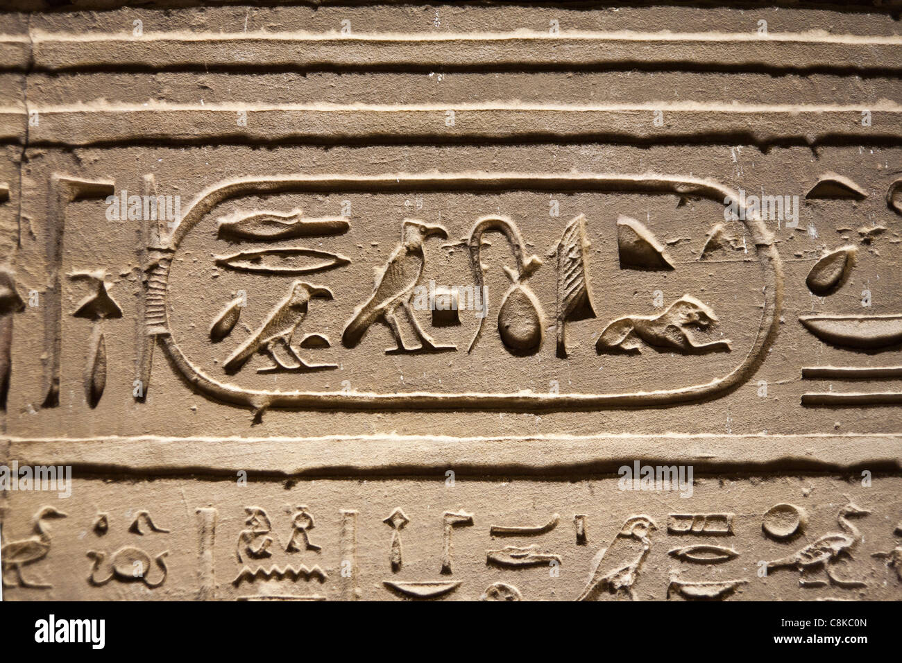 Dettaglio del lavoro di soccorso che mostra cartiglio di Tolomeo presso il Tempio di Horus Edfu Alto Egitto Foto Stock