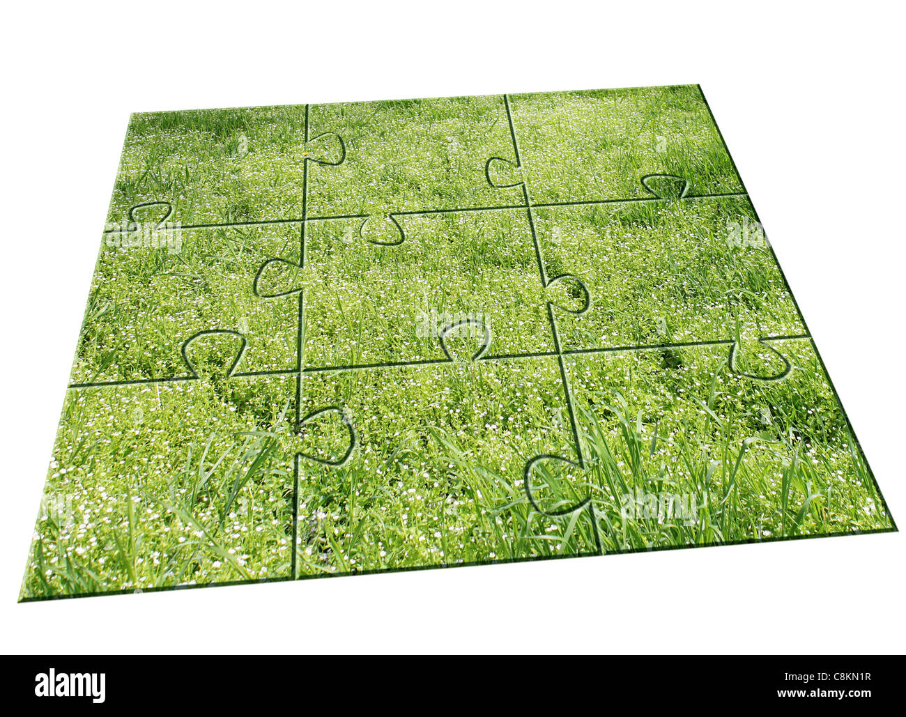 Jigsaw Puzzle: erba verde Foto Stock