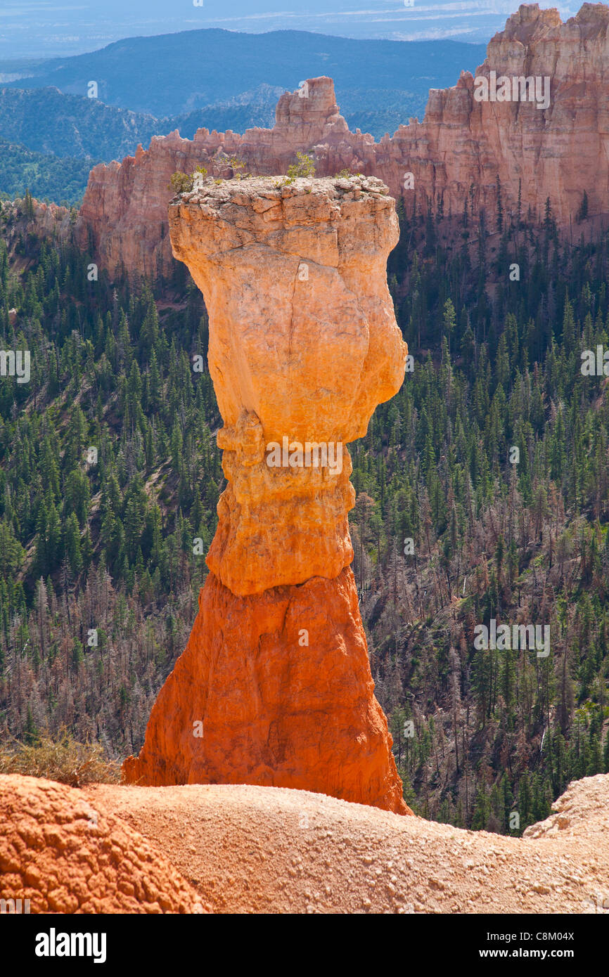 Erosione di roccia - Bryce Canyon, America Foto Stock