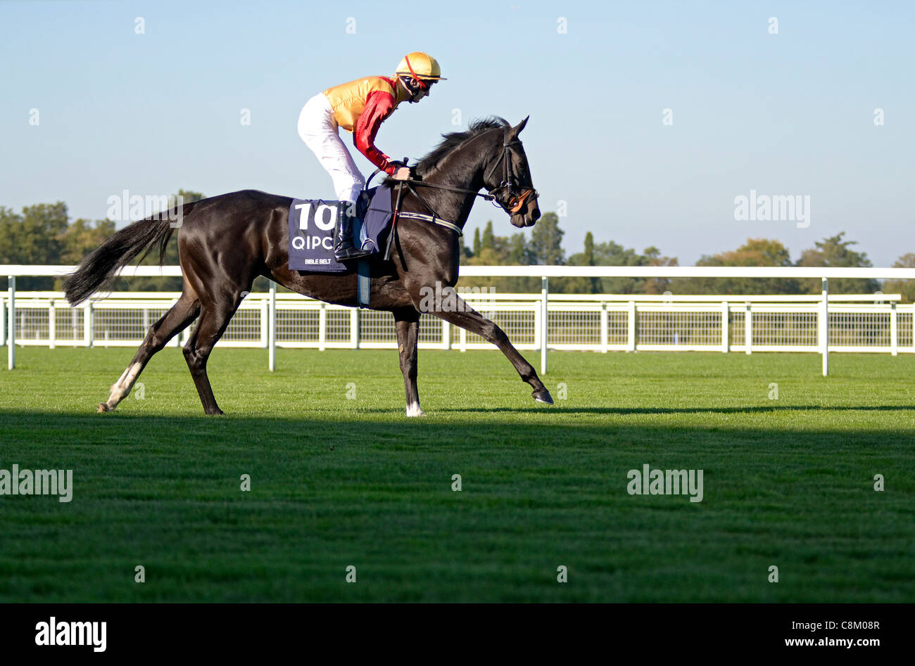 Ascot QE2 Qipco Champions giorno REGNO UNITO Foto Stock