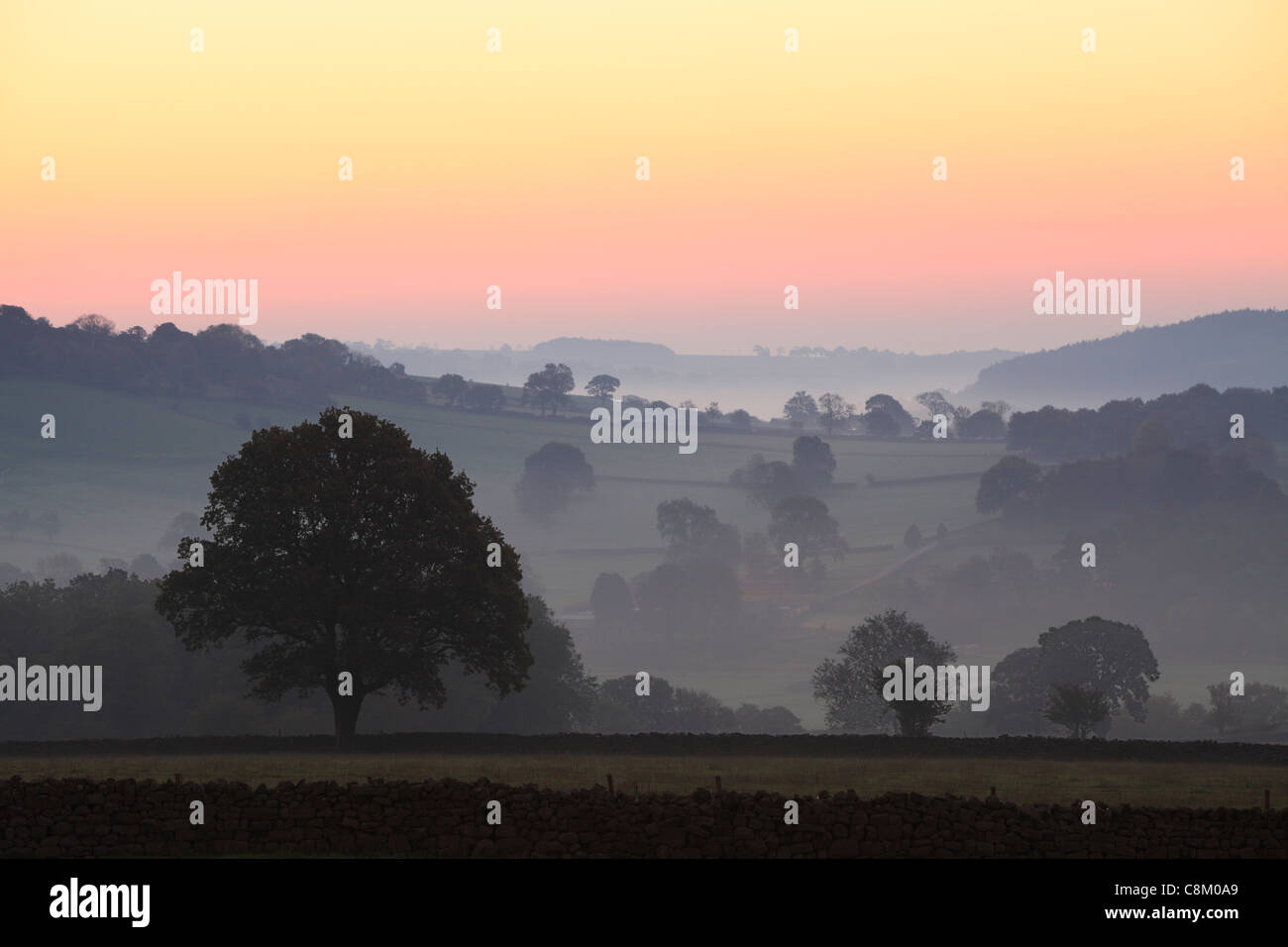 Vivacemente colorato sunrise in una nebbiosa mattina autunnale in Dacre, Nidderdale, Inghilterra Foto Stock