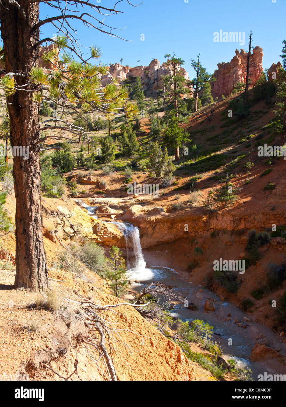 Vista lungo la grotta di muschio Trail, Bryce Canyon, Utah Foto Stock