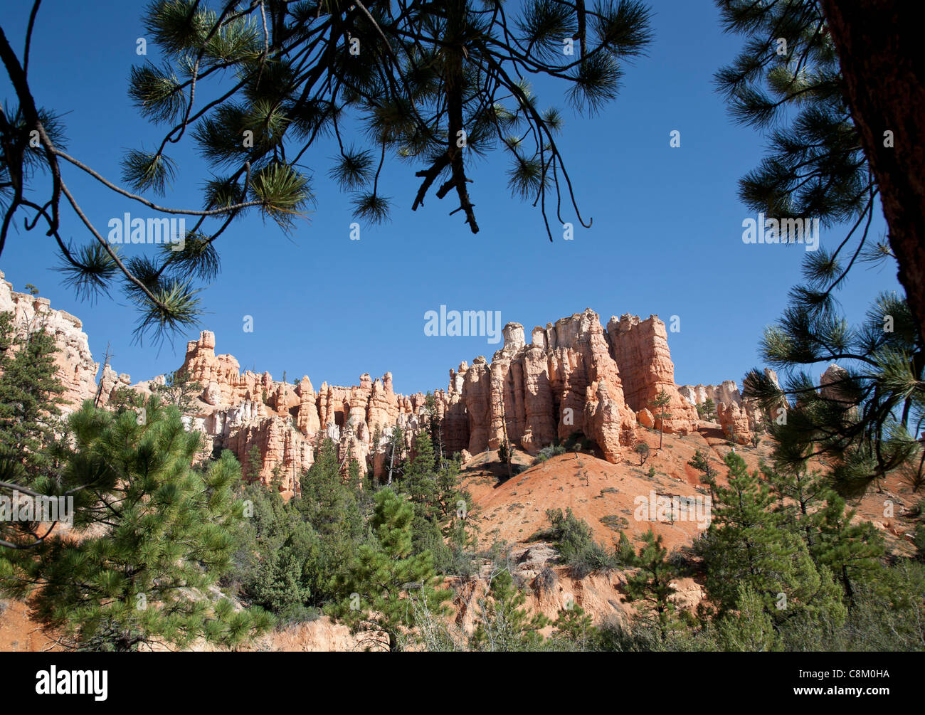 Water Canyon, Mossy Cave Trail a Bryce Canyon, America Foto Stock