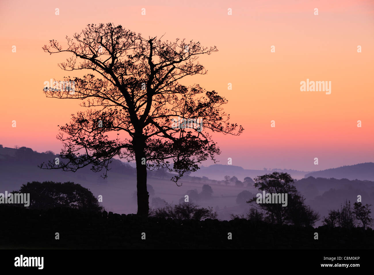 Vivacemente colorato sunrise in una nebbiosa mattina autunnale in Dacre, Nidderdale, Inghilterra Foto Stock
