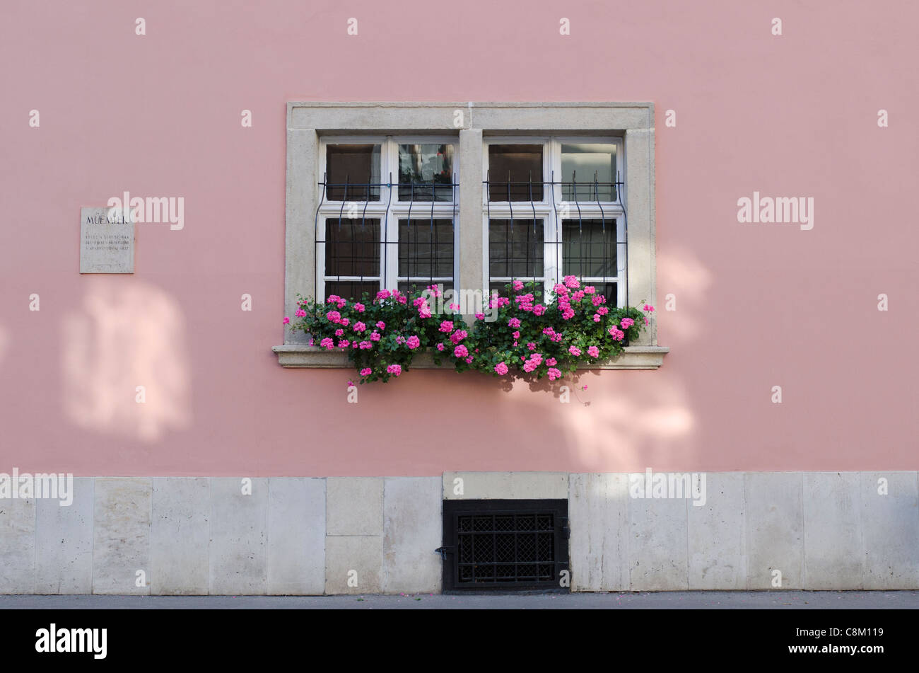 Window box in Vár-hegy, old Buda Foto Stock