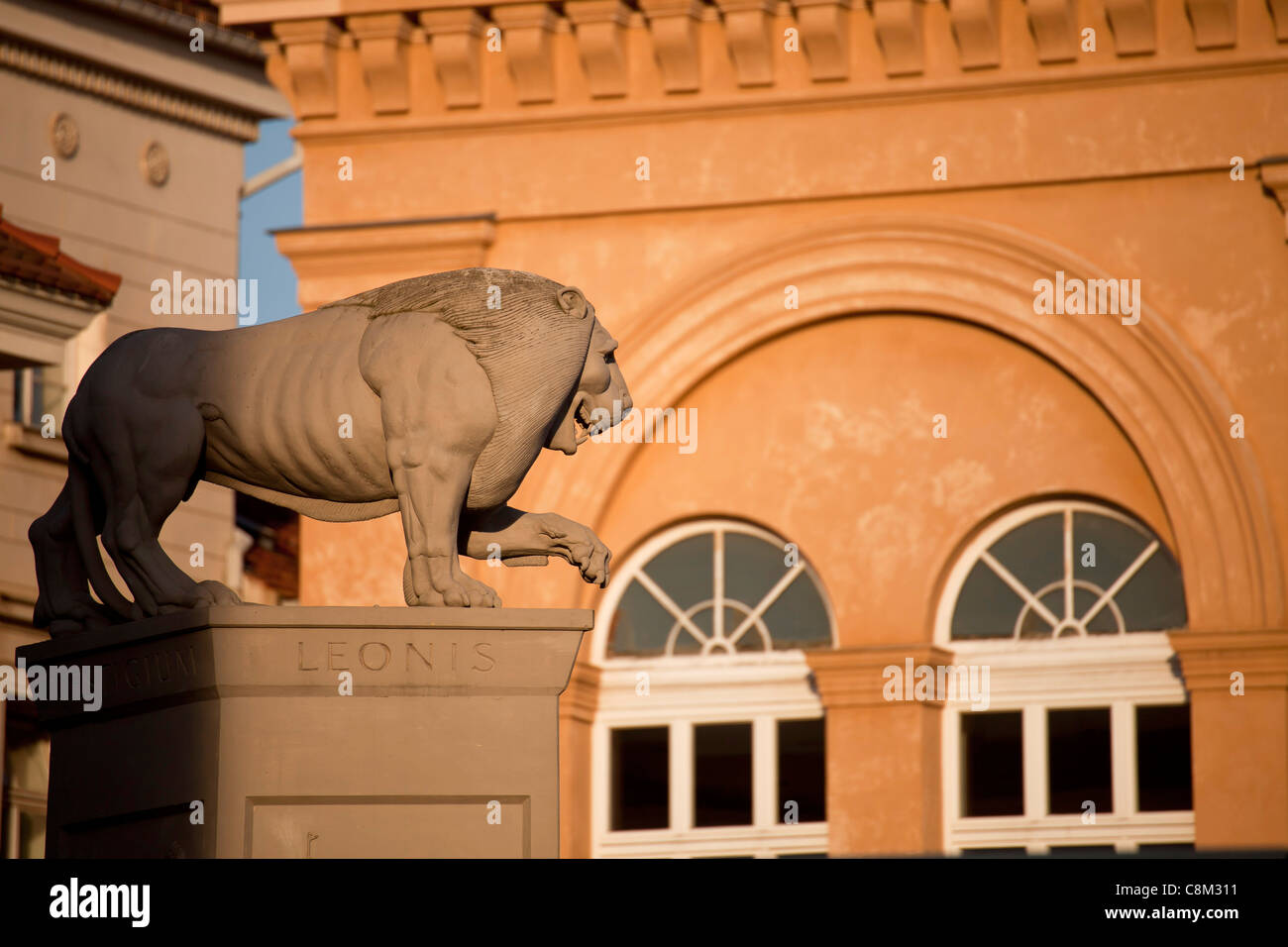 I Lions statua Leonis nel centro della capitale dello stato di Schwerin, Meclenburgo-Pomerania Occidentale, Germania Foto Stock