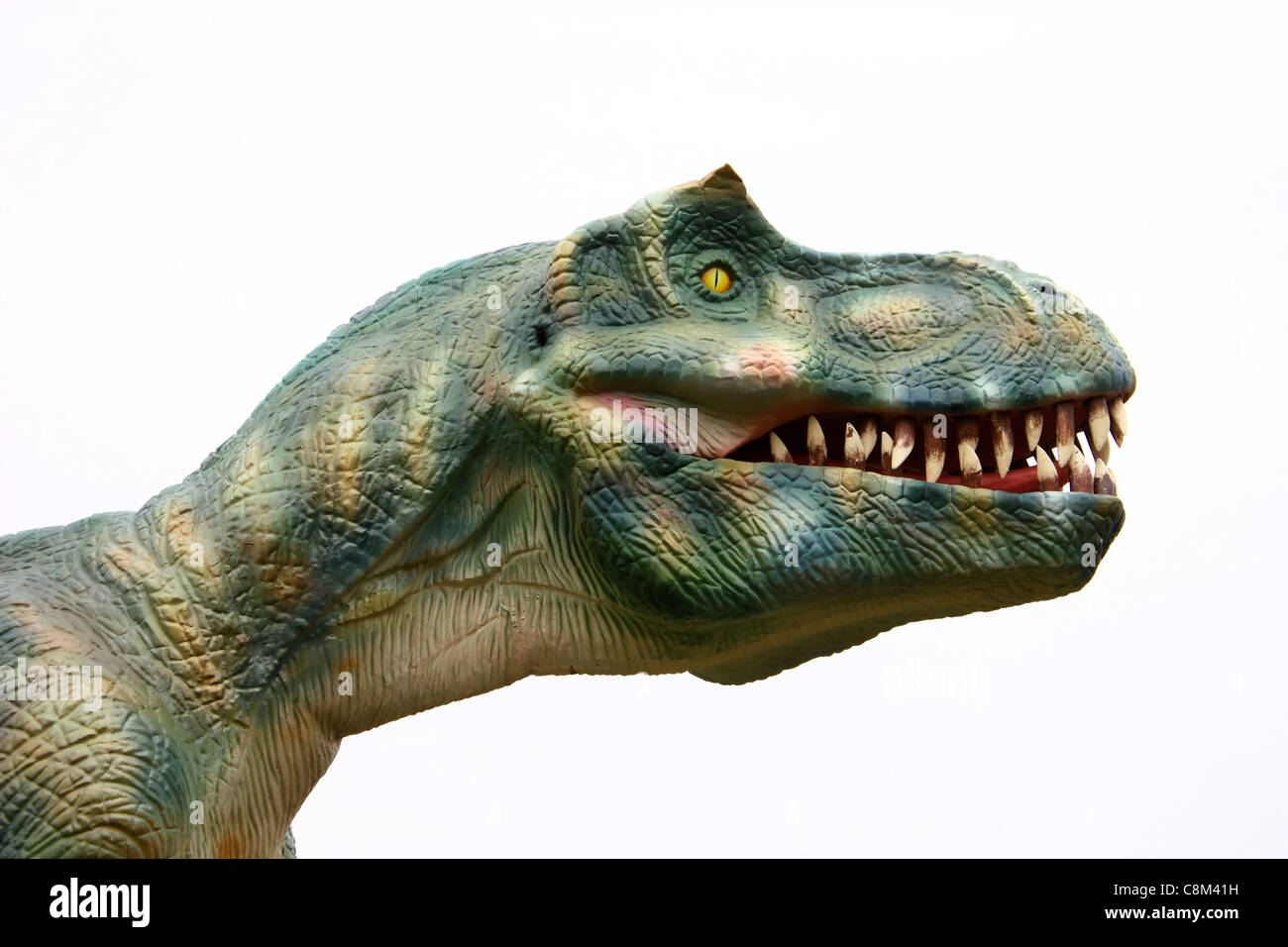 Testa del dinosauro vizioso come oggetto isolato Foto Stock