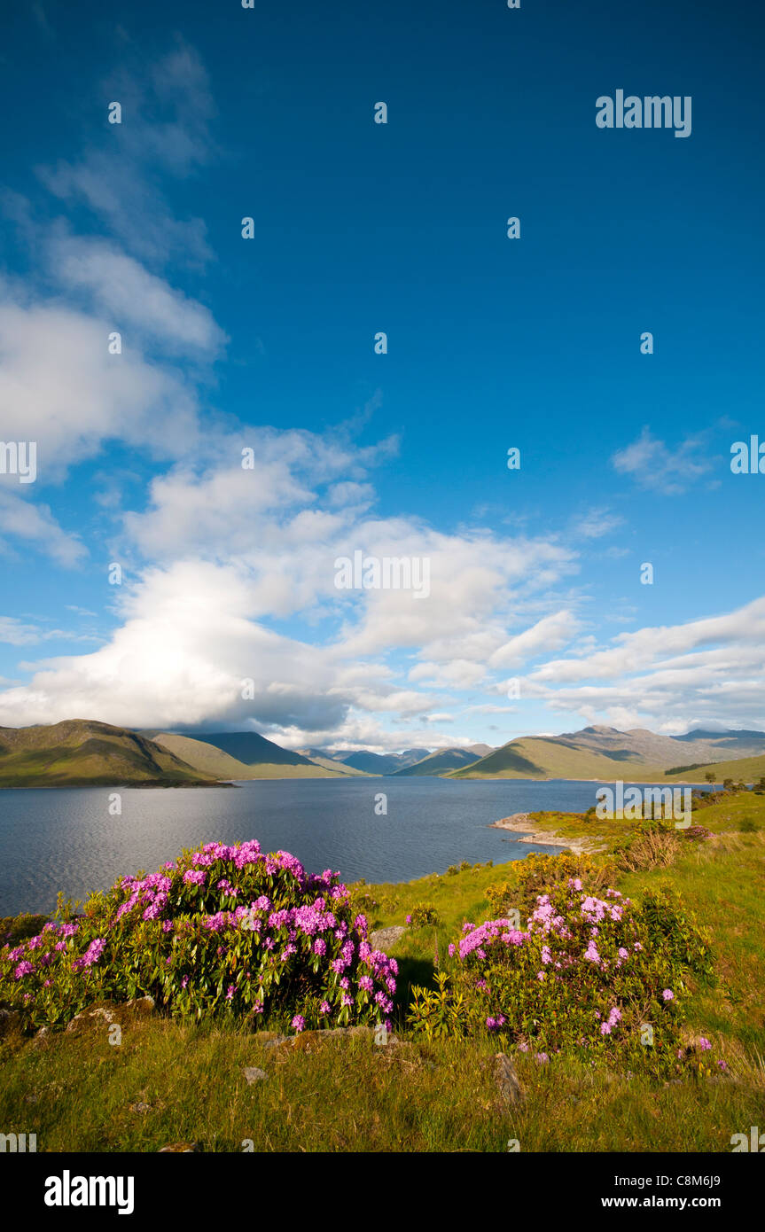 Loch Quoich e le montagne di Knoydart, Glen Garry, regione delle Highlands, Scotland, Regno Unito Foto Stock