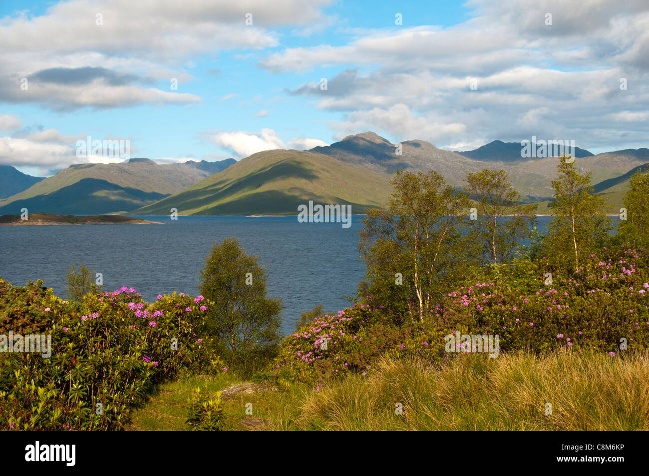 Loch Quoich, Glen Garry, regione delle Highlands, Scotland, Regno Unito Foto Stock