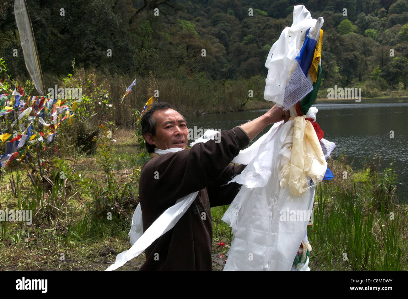 Regolazione bandiere di preghiera Khecheopalri Lake Sikkim India Foto Stock