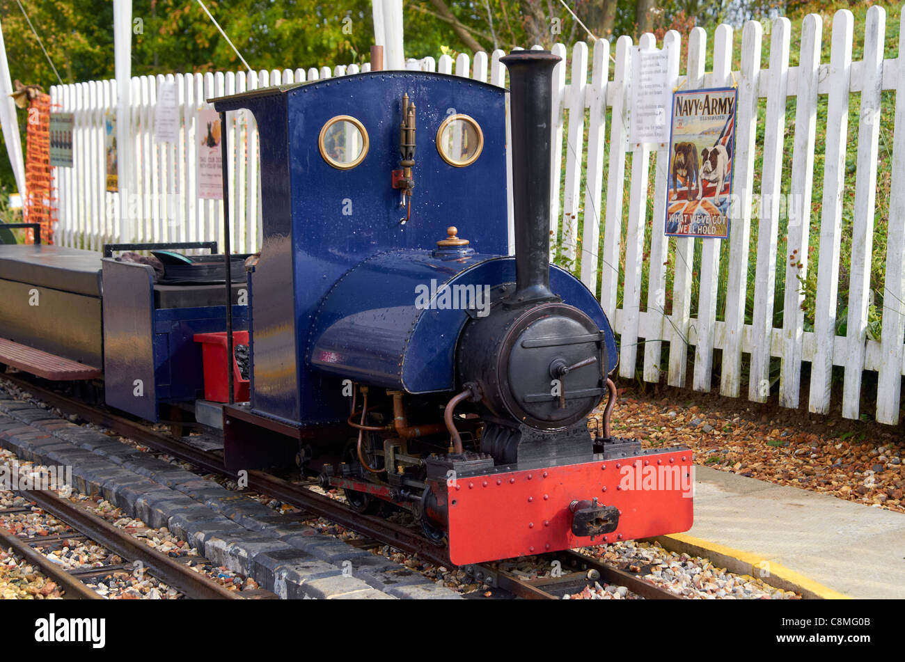 Modello di ferrovia a vapore motori sul 7,5 pollici indicatore ferrovia in miniatura a Bursledon laterizi Industrial Museum, Hampshire. Foto Stock