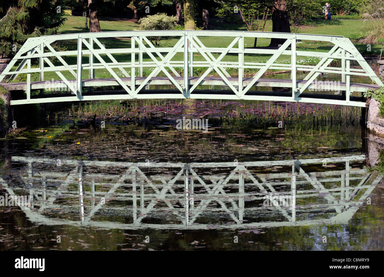 Bianco di ferro battuto singolo span il ponte di arco su un laghetto giardino botanico di Dublino architettura design giardinaggio Foto Stock