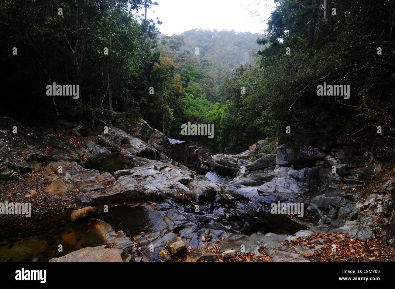 Cascate sul sud del fiume di pino, vicino al Mt Nebo /Mt gloriosa strada, Brisbane, Queensland, Australia Foto Stock