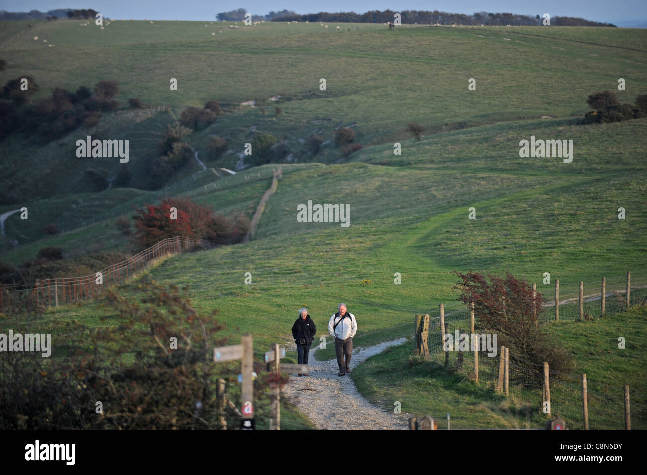 Camminando lungo la South Downs Way a Ditchling Beacon in Sussex nel tardo pomeriggio in autunno Regno Unito Foto Stock