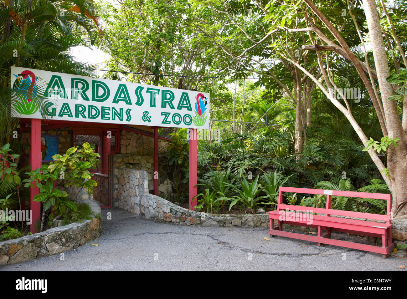 Ardastra Gardens & Zoo, Nassau, New Providence Island, Bahamas, dei Caraibi Foto Stock