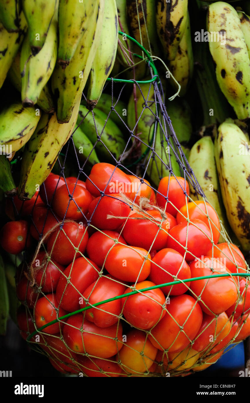 Chiusura del cestello pensile di pomodori e banane sul mercato prese di stallo in Cochin, Kerala, India Foto Stock