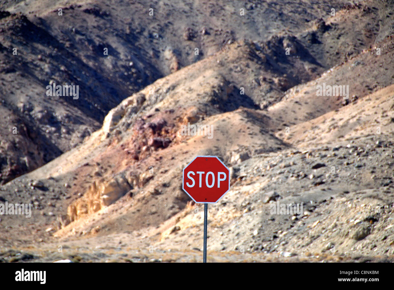 Il segnale di arresto in corrispondenza di uno sportivo's Beach recreation site e della US Hwy 95 sulla riva del lago del camminatore Foto Stock