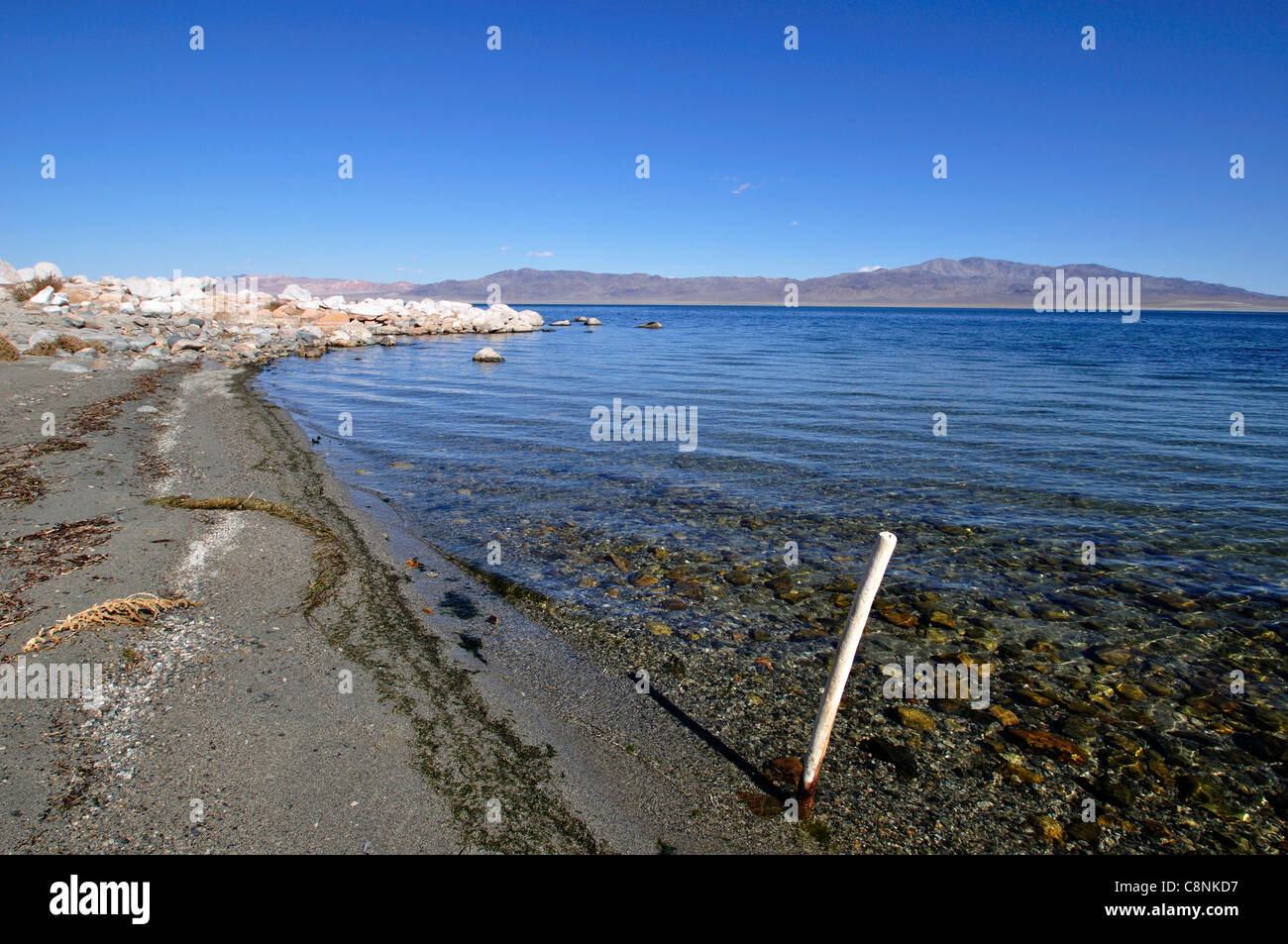 Sportivo Beach Recreation Site sulla sponda occidentale del lago del camminatore Foto Stock