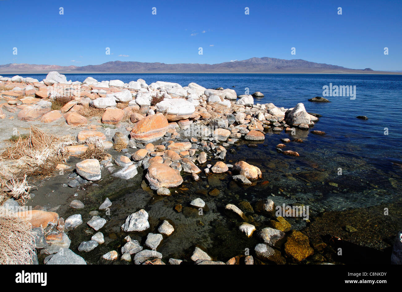 Rocce stratificate sulla sponda occidentale del lago del camminatore a Sportsman's Beach Foto Stock