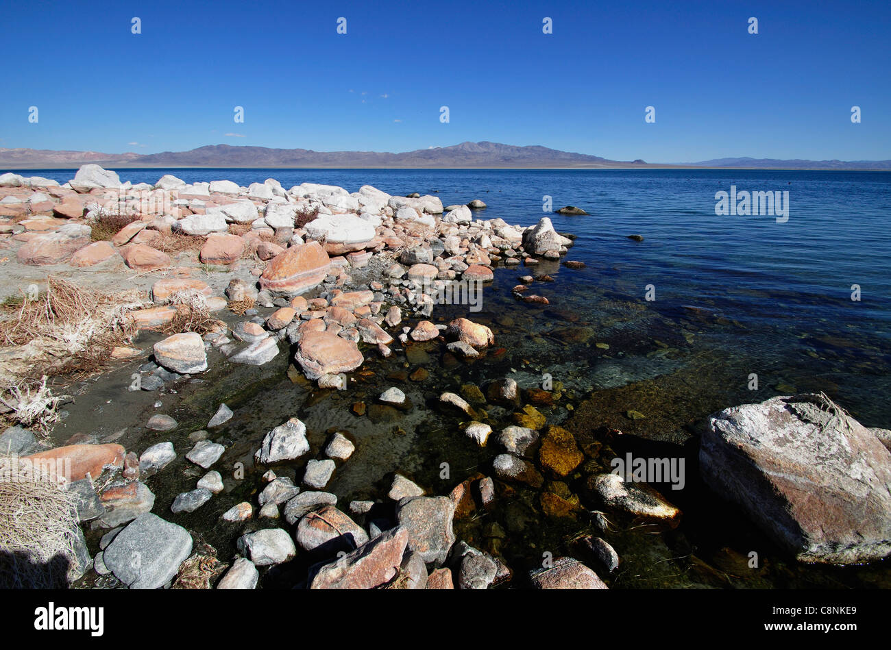 Rocce stratificate sulla sponda occidentale del lago del camminatore a Sportsman's Beach Foto Stock