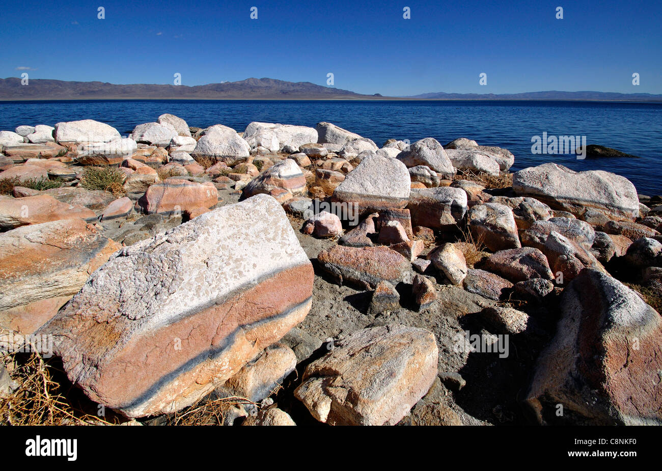 Rocce stratificate sulla sponda occidentale del lago del camminatore a Sportsman's Beach Foto Stock