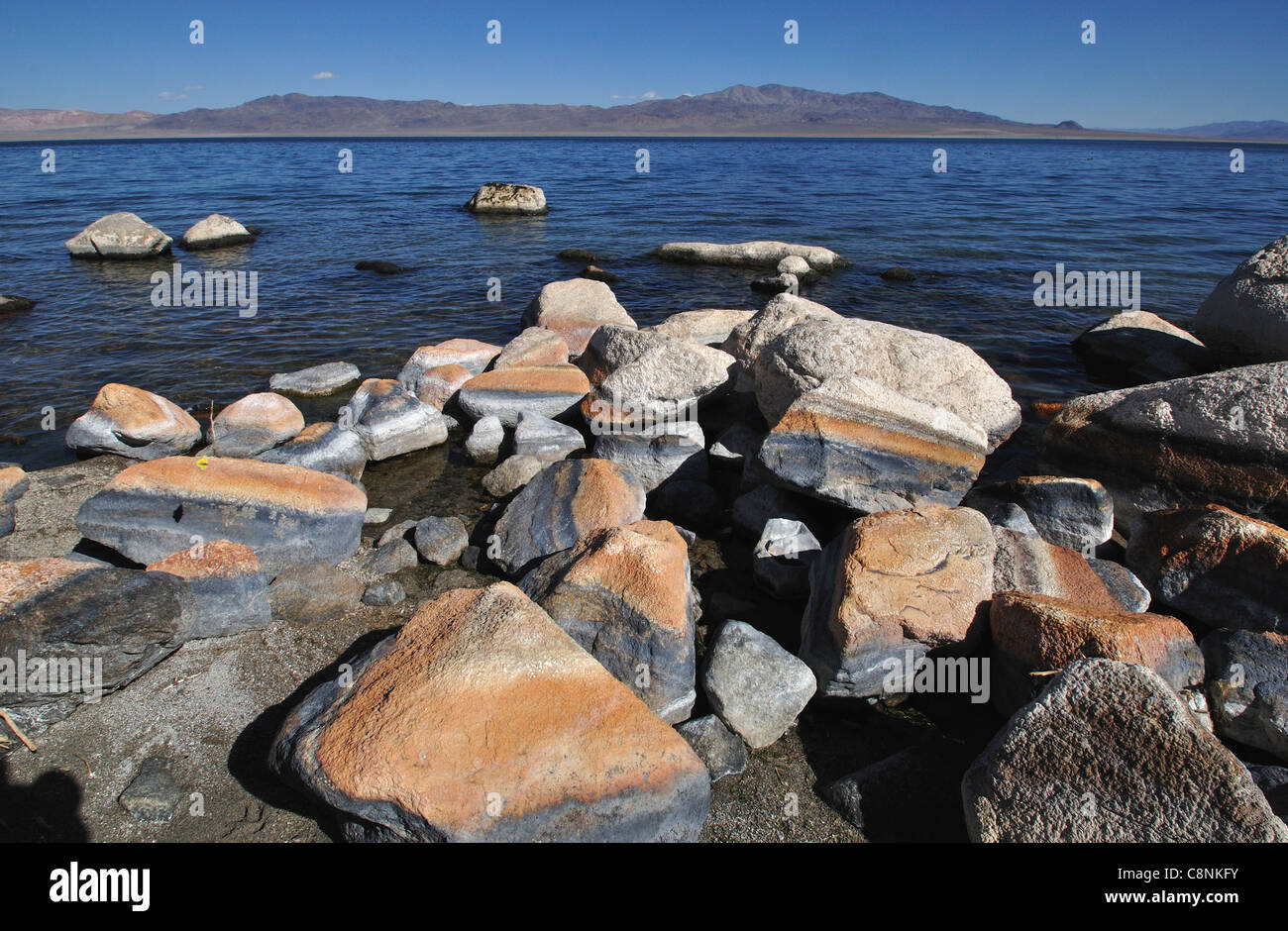 Rocce stratificate sulla sponda occidentale del lago del camminatore a Sportsman's Beach Foto Stock