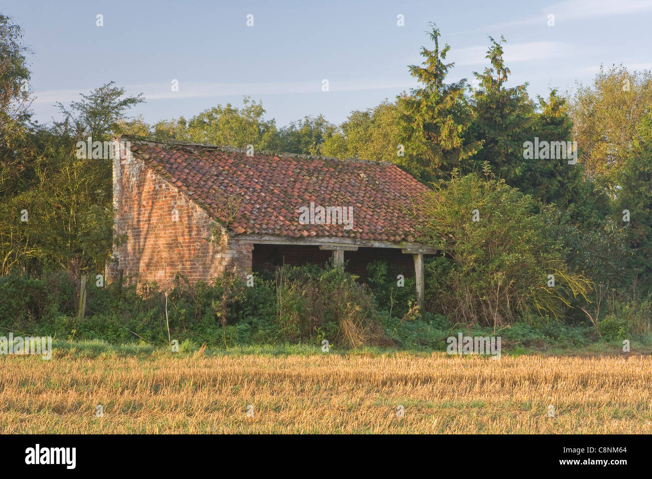 Vecchia Fattoria Foto Stock