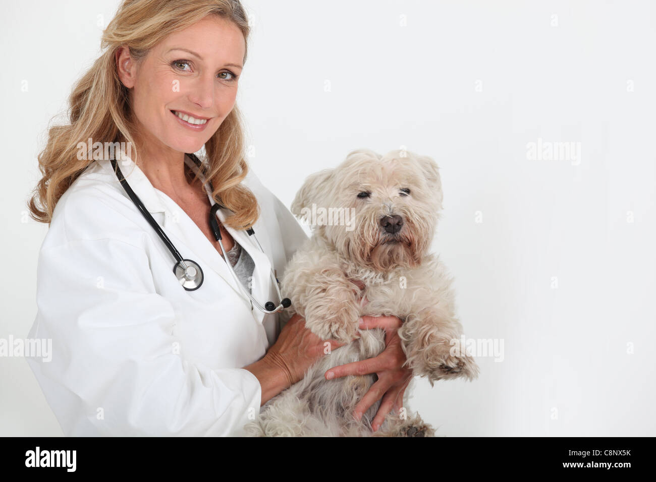 Vet femmina tenendo un piccolo white cane di famiglia Foto Stock