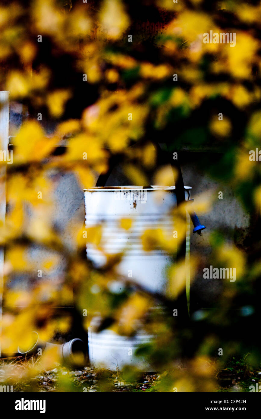Un vecchio barile di petrolio dietro bush Foto Stock