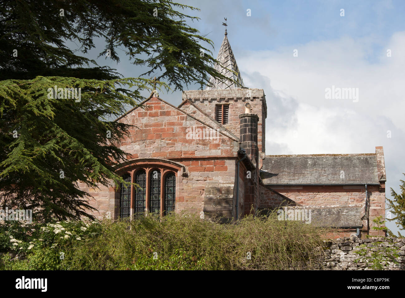 San Lorenzo Chiesa sassone con grande albero di cedro in primo piano, Morland Cumbria Regno Unito Foto Stock