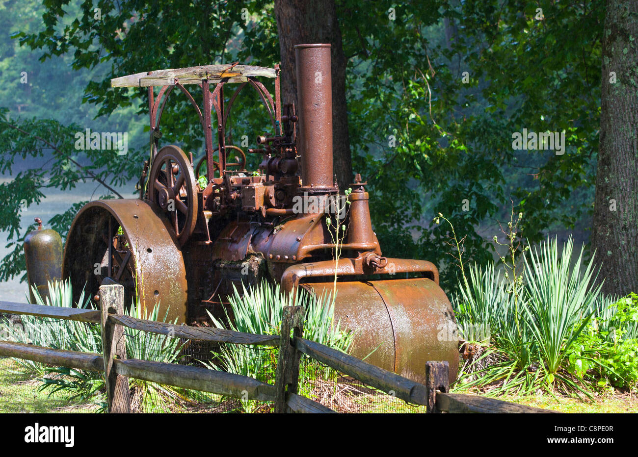 Un antico rullo di vapore è parcheggiato in un campo erboso Foto Stock