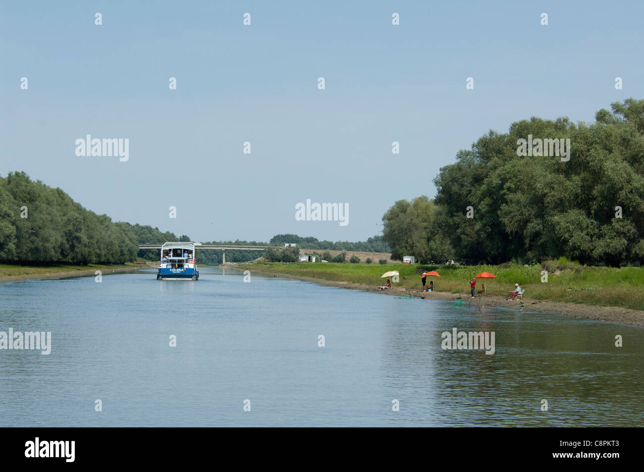 La Romania, regione dobrudgea, Tulcea, il delta del Danubio. Sfantu Gheorghe canale rivestiti con argento willow (aka wild Willow) alberi. Foto Stock