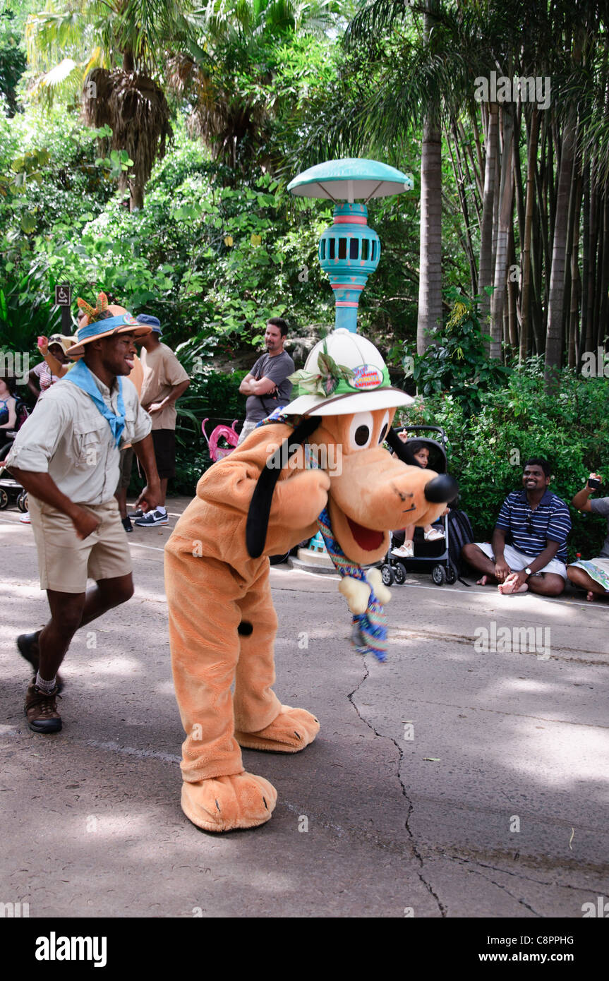 Jammin jungle parade Walt Disney World Resort parchi regno animale PLUTONE Foto Stock