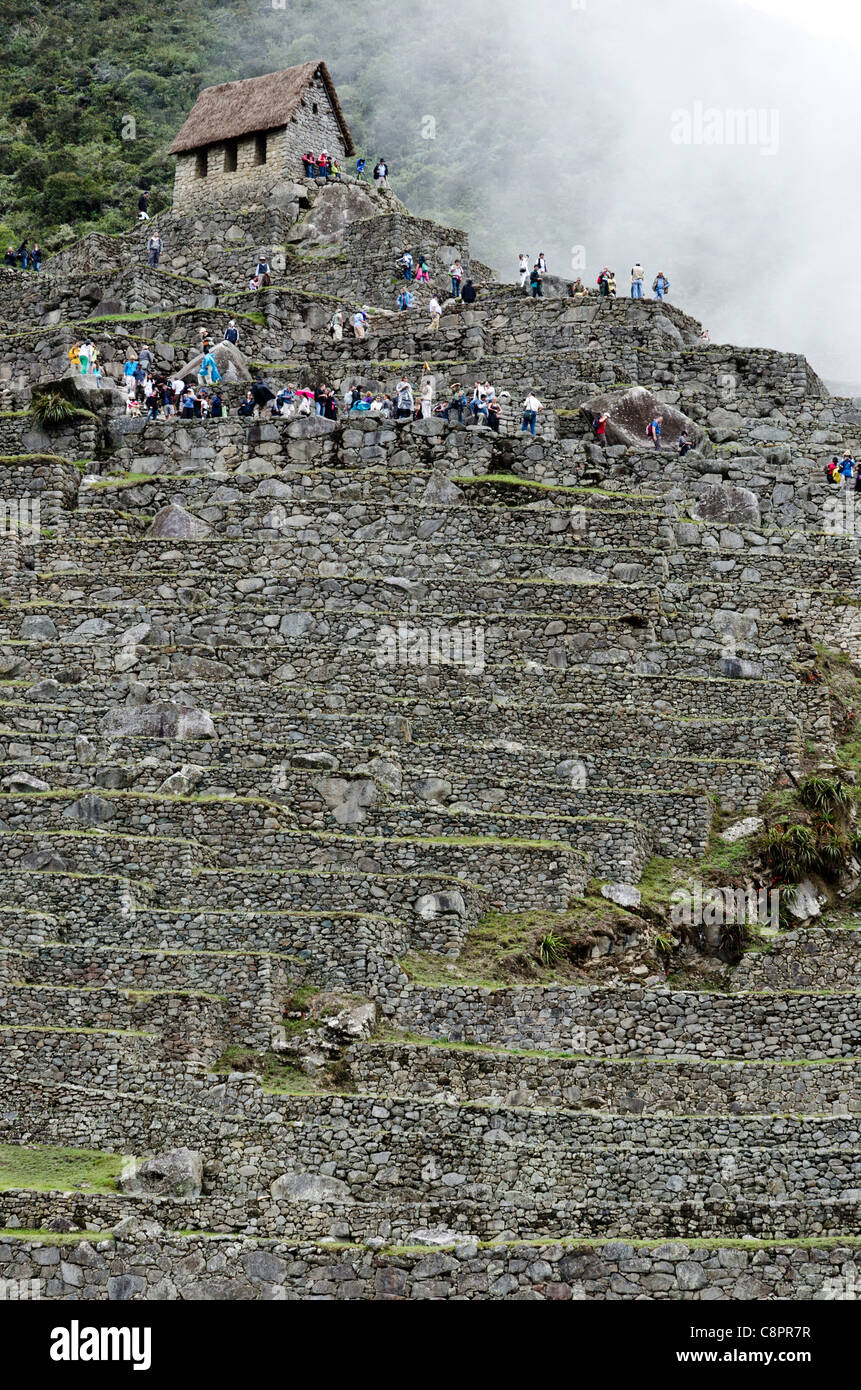 Terrazze Inca di Machu Picchu Cusco Peru Foto Stock