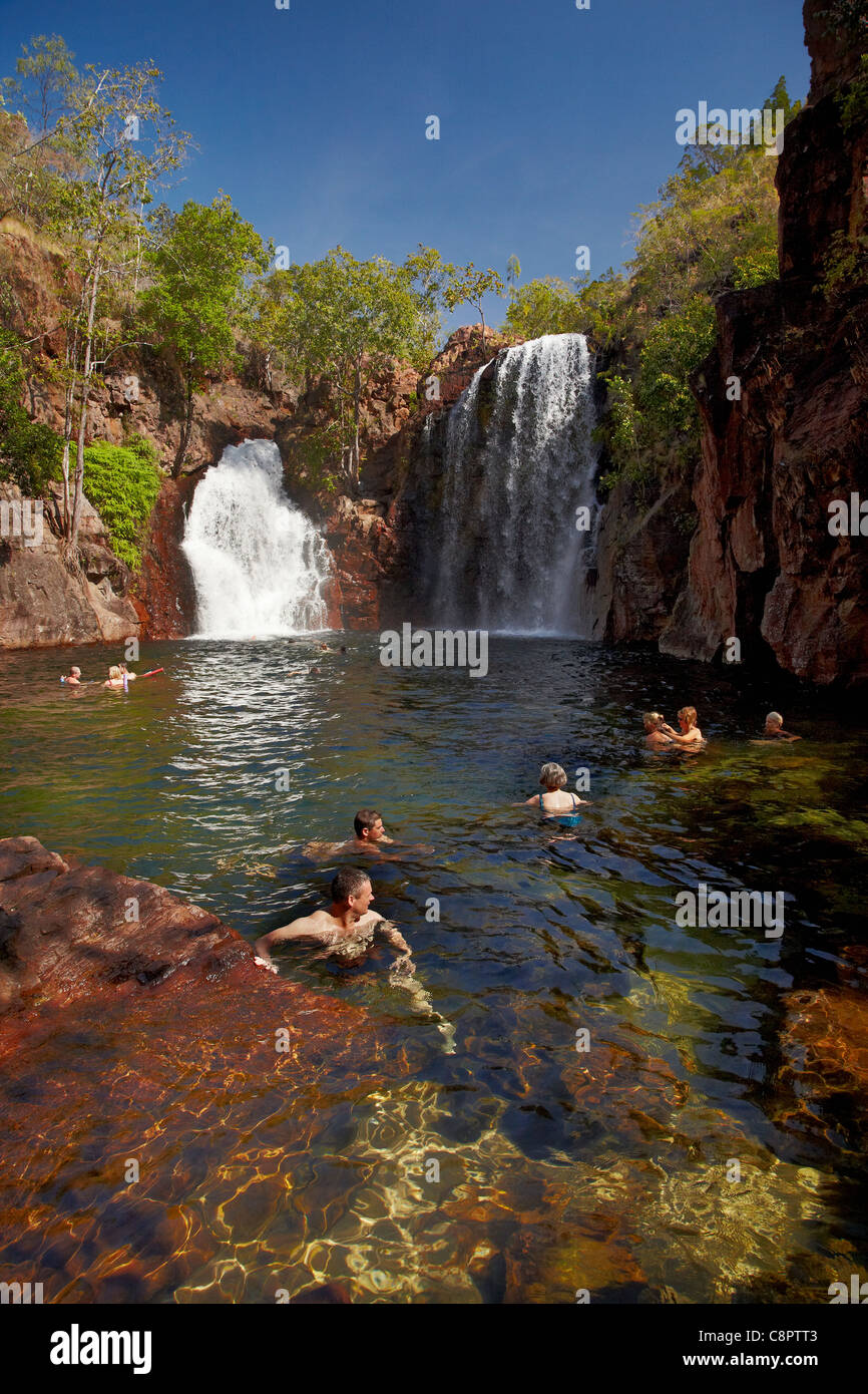 Nuotatori a Firenze cade, il Parco Nazionale di Litchfield, Territorio del Nord, l'Australia Foto Stock