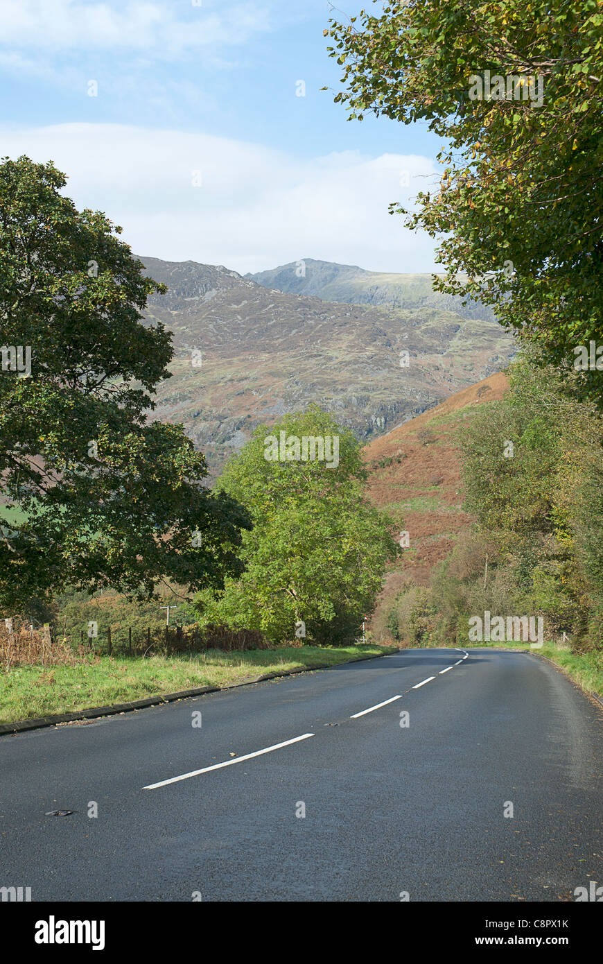 Gran Bretagna, Galles Snowdonia, road vicino al Corris, montagne sullo sfondo Foto Stock