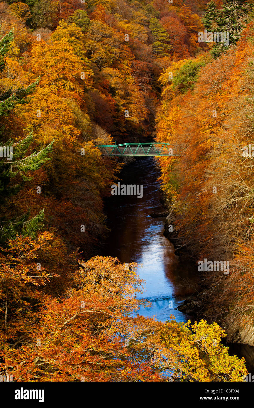 Fiume Garry e ponte verde circondato da colore di autunno di decidious e da alberi di pino, passaggio di Killiecrankie, Perthshire Scozia Scotland Foto Stock