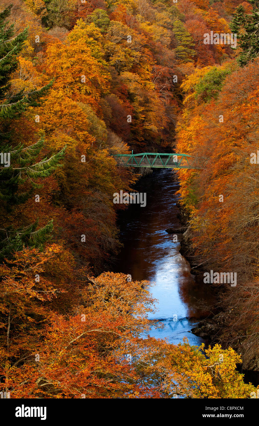Fiume Garry e ponte verde circondato da colore di autunno di decidious e da alberi di pino, passaggio di Killiecrankie, Perthshire Scozia Scotland Foto Stock