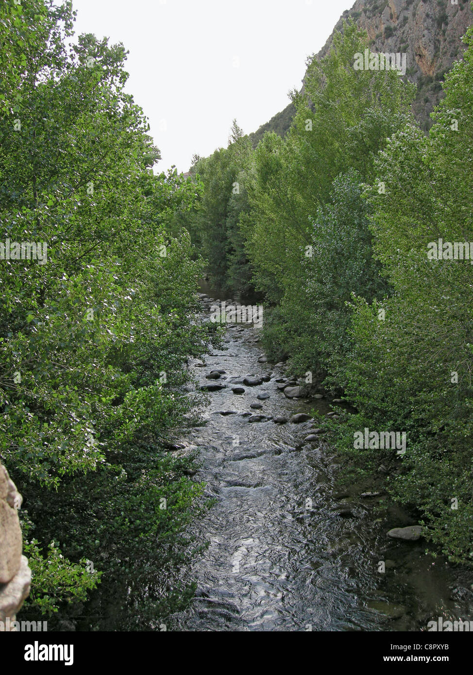 Francia, Pyrenees-Orientales, Conflent River Foto Stock