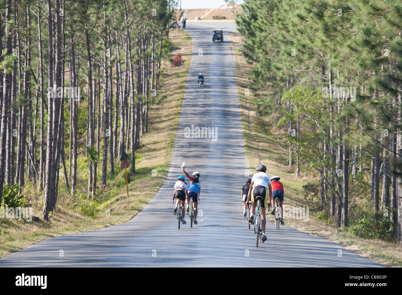 PINAR DEL RIO: I ciclisti nel Vinales Valley Foto Stock