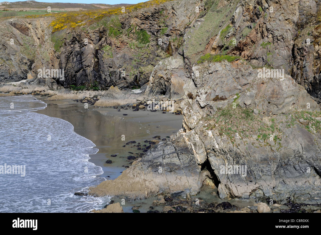 Spiaggia Pwllcrochan Pembrokeshire Coast National Park St Nicholas Galles Cymru REGNO UNITO GB Foto Stock