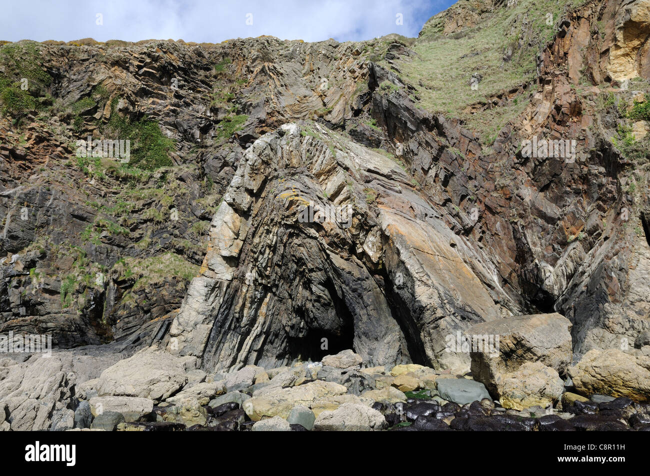 Formazione di roccia alla spiaggia Pwllcrochan Pembrokeshire Coast National Park St Nicholas Galles Cymru REGNO UNITO GB Foto Stock