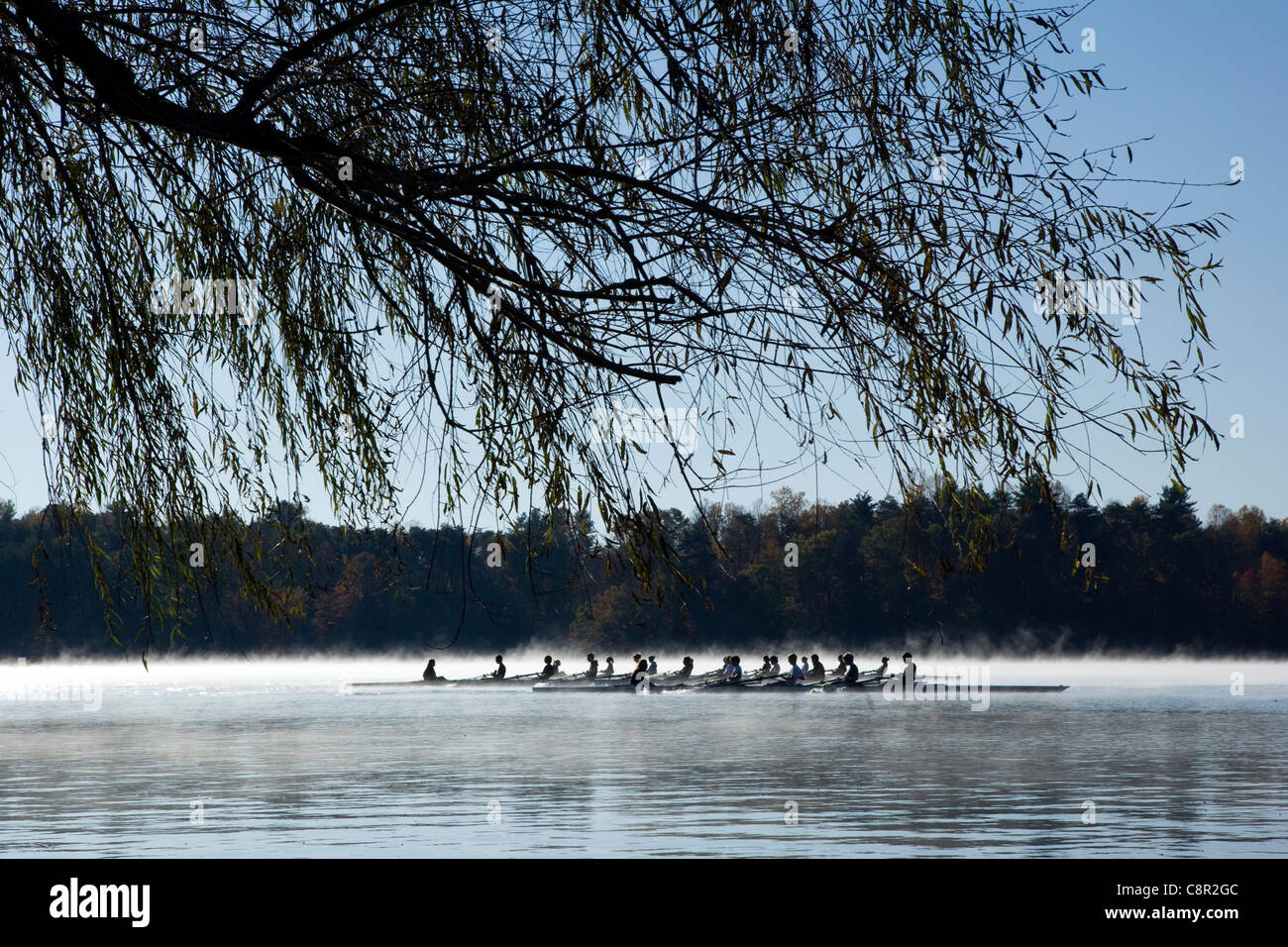 Canottaggio in Early Morning Mist - Lago di Julian - Asheville, North Carolina, STATI UNITI D'AMERICA Foto Stock